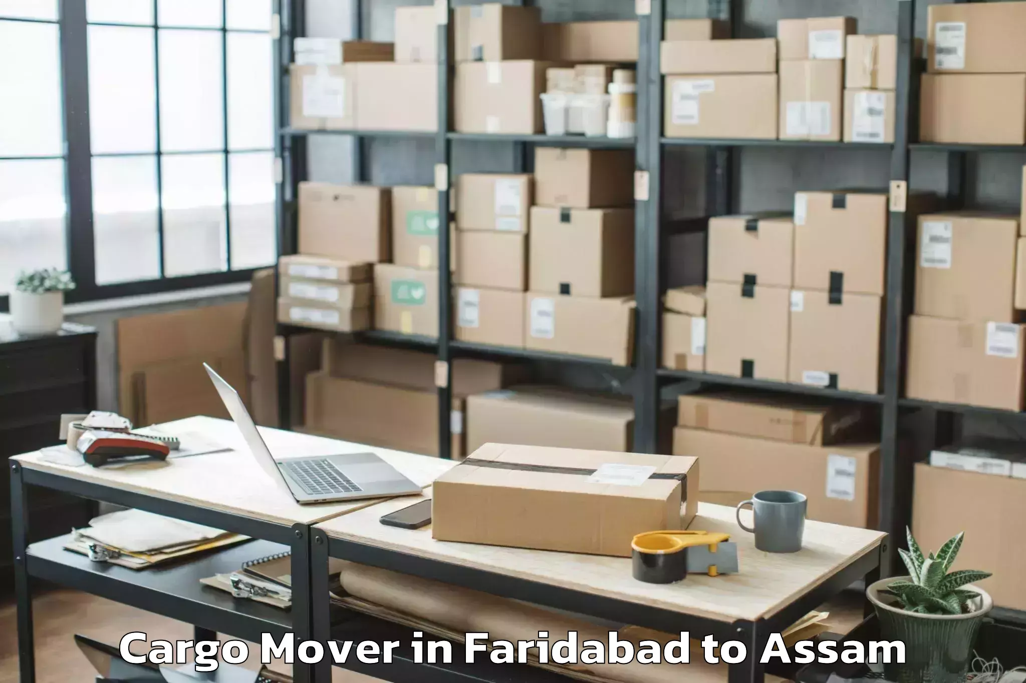 Leading Faridabad to Raha Cargo Mover Provider